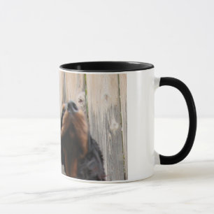 EEN GORDON! EEN GORDON!, Gordon Setter Keramische  Mok