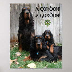Een GORDON! Een GORDON! Gordon Setter Poster