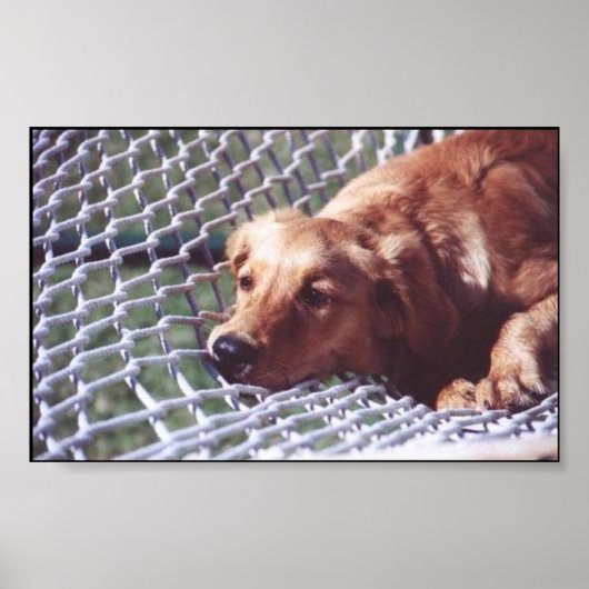 Een gouden dag poster (Voorkant)