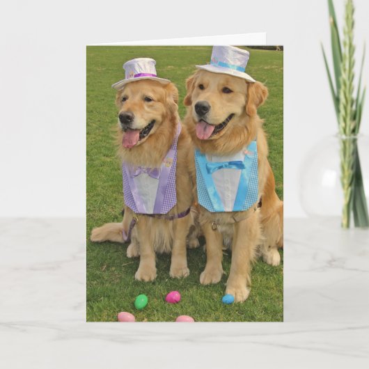 Een gouden ei-waarneming Pasen Feestdagen Kaart (Voorkant)