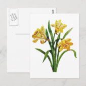 Een gouden gastheer van geborduurde narcissen briefkaart (Voorkant / Achterkant)