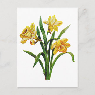 Een gouden gastheer van geborduurde narcissen briefkaart