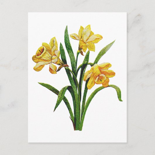 Een gouden gastheer van geborduurde narcissen briefkaart (Voorkant)