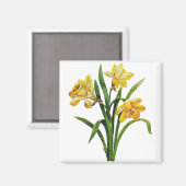 Een gouden gastheer van geborduurde narcissen magneet (Voorkant / Achterkant)