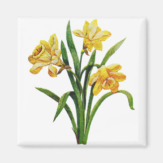 Een gouden gastheer van geborduurde narcissen magneet