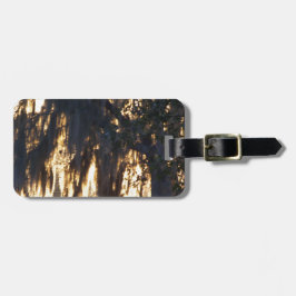 een gouden winterzonsopgang door de Spaanse Moss Bagagelabel