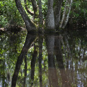 Een gouden zonsondergang over de St Marys Waterfro Briefkaart