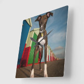 Een graatmeter die voor een paar strandhoeken staa vierkante klok (Hoek)