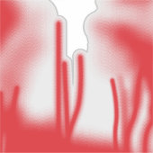 Een grafisch ontwerp met opvallende rode en oranje sticker (Voorkant)