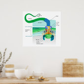 Een Gram Negatief Bacterial Flagellum Diagram Poster (Keuken)