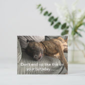 Een grappig briefkaart van Bull Mastiff (Staand voorkant)