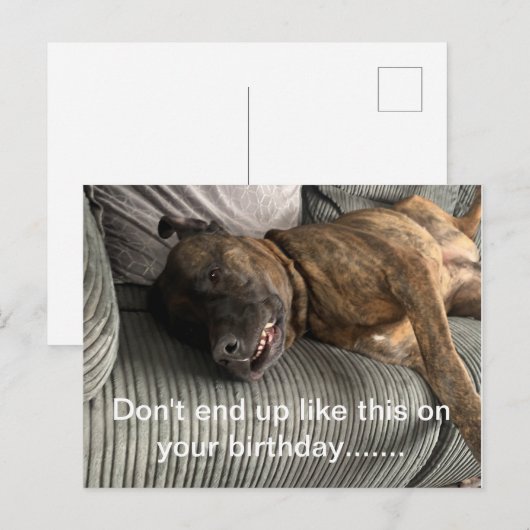 Een grappig briefkaart van Bull Mastiff (Voorkant / Achterkant)