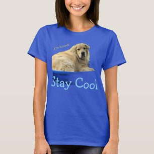 Een grappig T-shirt met een Golden Retriever.