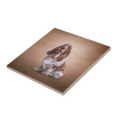 Een grappige Basset Hound-hond tekenen Tegeltje (Zijkant)