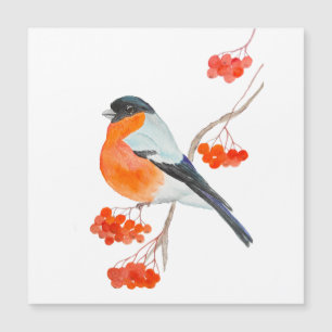 Een grappige bullfinch op een tak van een rowan tr