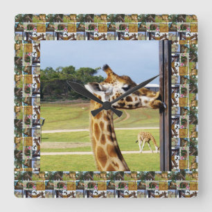 Een grappige Giraffe die een paal schopt, Vierkante Klok