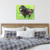 Een grappige hond met houding! canvas afdruk (Insitu (Slaapkamer))