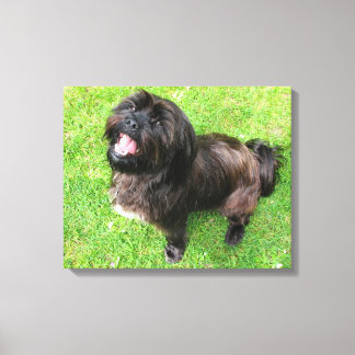 Een grappige hond met houding! canvas afdruk