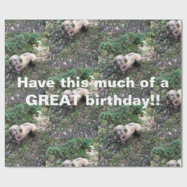 Een grappige Hongaarse Vizsla rol van verpakkingsp Cadeaupapier