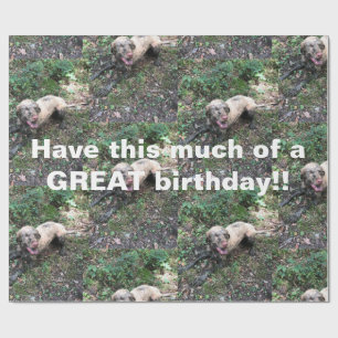 Een grappige Hongaarse Vizsla rol van verpakkingsp Cadeaupapier