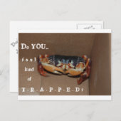 Een grappige kaart om een vriend op te vrolijken.. (Voorkant / Achterkant)