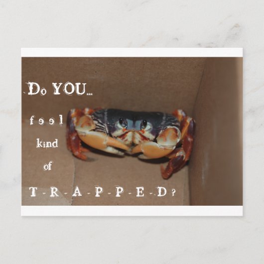 Een grappige kaart om een vriend op te vrolijken.. (Voorkant)