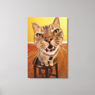 Een grappige kleine kat zit op een spoel in een canvas afdruk