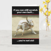 Een grappige oude geit kan nog steeds zijn eigen g kaart (Gele Bloem)