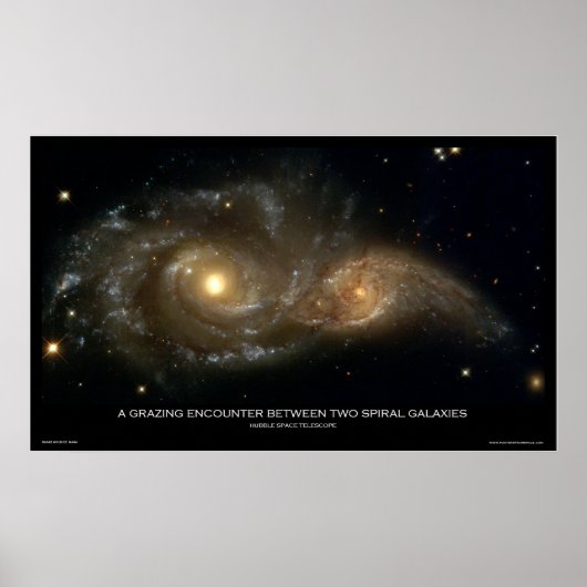 Een grazende confrontatie tussen twee spirale ster poster (Voorkant)