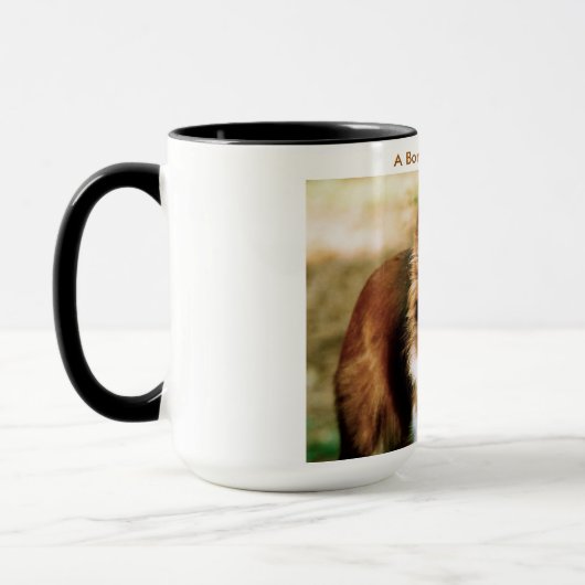 Een grens-collie-ogen mok (Links)