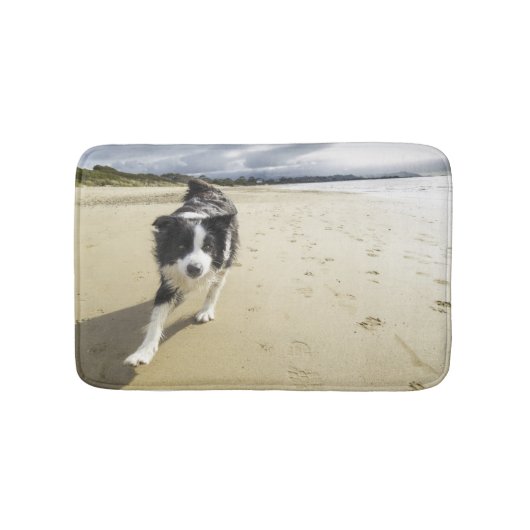 Een grenspoelhond die op de strand loopt badmat (Voorkant)