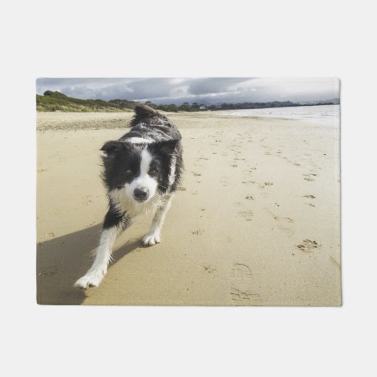 Een grenspoelhond die op de strand loopt deurmat (Voorkant)
