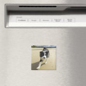 Een grenspoelhond die op de strand loopt magneet (Insitu (Vaatwasser))