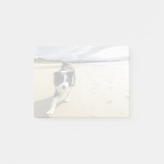 Een grenspoelhond die op de strand loopt post-it® notes (Voorkant)