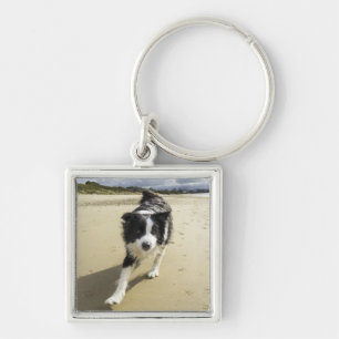 Een grenspoelhond die op de strand loopt sleutelhanger
