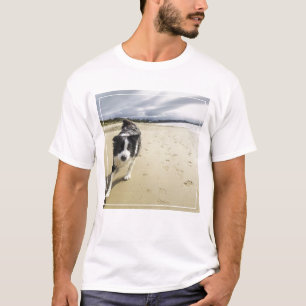 Een grenspoelhond die op de strand loopt t-shirt