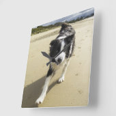 Een grenspoelhond die op de strand loopt vierkante klok (Hoek)