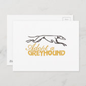 Een Greyhound aannemen Briefkaart (Voorkant / Achterkant)