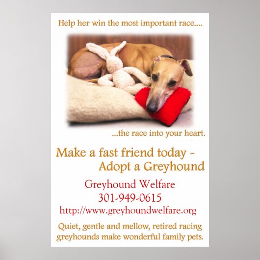 Een Greyhound aannemen Poster (Voorkant)