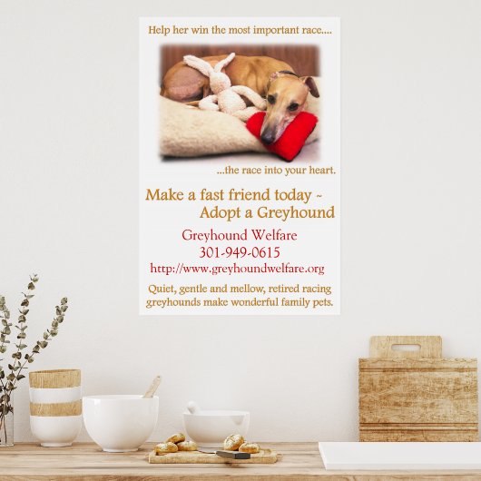 Een Greyhound aannemen Poster (Keuken)
