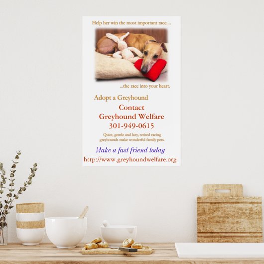Een Greyhound aannemen Poster (Keuken)