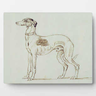 Een Greyhound, links naast elkaar (pen en inkt op Fotoplaat