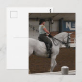 Een grijs dressuurpaard briefkaart (Voorkant / Achterkant)