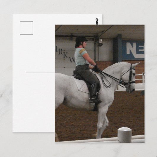 Een grijs dressuurpaard briefkaart (Voorkant / Achterkant)