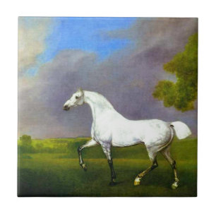 Een grijs paard van George Stubbs Tegeltje