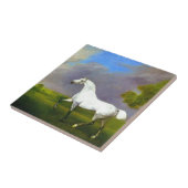 Een grijs paard van George Stubbs Tegeltje (Zijkant)