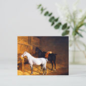 Een grijs Pony en een zwart paard in een Stabiel Briefkaart (Staand voorkant)
