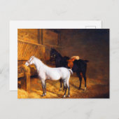 Een grijs Pony en een zwart paard in een Stabiel Briefkaart (Voorkant / Achterkant)