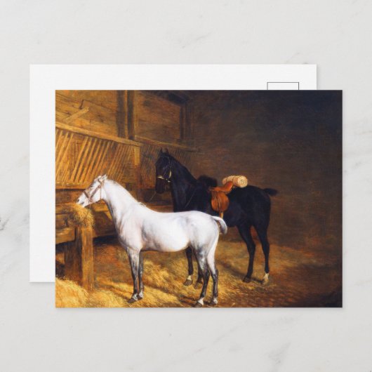 Een grijs Pony en een zwart paard in een Stabiel Briefkaart (Voorkant / Achterkant)