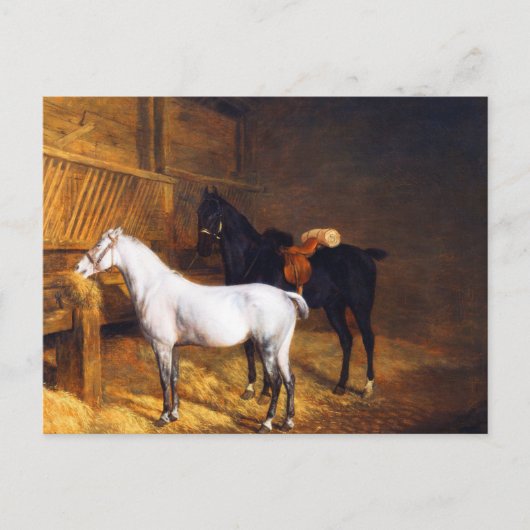 Een grijs Pony en een zwart paard in een Stabiel Briefkaart (Voorkant)